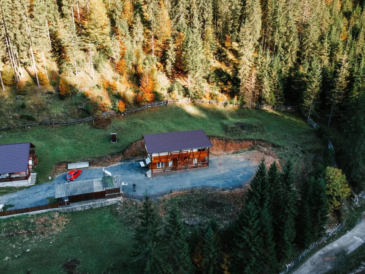 Pensiunea Izabel Lacu Roșu Exterior foto