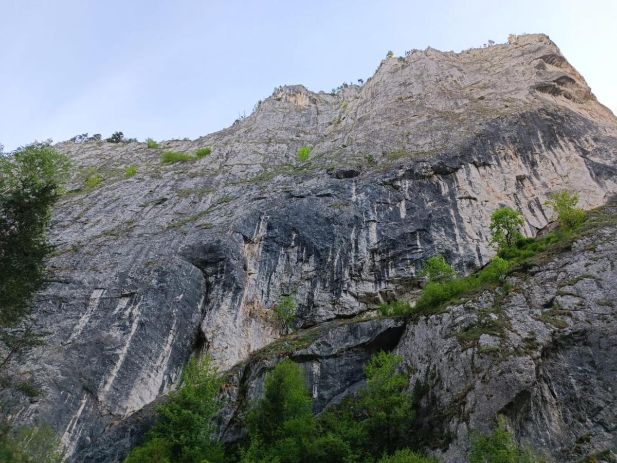 Pensiunea Izabel Lacu Roșu Exterior foto